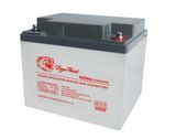 AGM Battery for Emergency Backup Power Supply 12V42ah