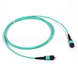 MTP/MPO to MTP/MPO 12 Fibers 10g Om3 50/125 Trunk Cable