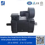 Ce Three Phase IC06 195kw IP44 AC Electric Induction Motor