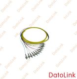 Fiber Optic Pigtail/Pigtails/Fibre Optical Pigtail