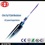 8 Core Optical Fiber Cable for Telecommunication From China