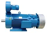 Hot Sale Three Phase Electric Motor with SGS