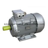 Y2 Series 3-Phase Asynchronous Electric Motors 0.75kw-280kw