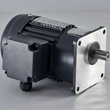 Reducer Small AC Motor Geared Motor_C