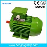Ye2 3552 Cast Iron Three Phase AC Induction Electric Motor