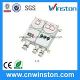 Explosion Proof Distribution Box Illumination, Power, with Leakage Protection (BXM D, K)