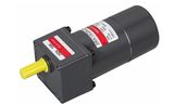 6060 6W Speed Control Motor AC Motor Gear Motor