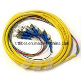 Fan out St Single Mode 12 Core Fiber Optic Pigtail