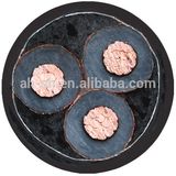 XLPE Insulated Armoured PVC Sheathed Power Cable