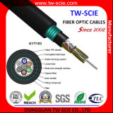 Professional Manufacturer 144/216/288 Core Outdoor Sm/Mm Armored Fiber Optic Cable--Gyty53