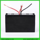 Sea E-Scooter 24V 10ah Lithium Battery Pack with Ce