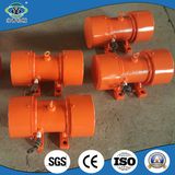 AC Single Phase Asynchronous Vibrating Motor