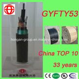 GYFTY53 96 Core Outdoor Non-Metallic Double Sheath Armored Optical Fiber Cable for Aerial or Duct