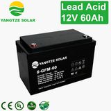 Free Shipping Largestar Battery 12V 60ah