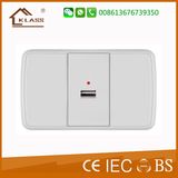 Argentina Colombia Peru Bolivia Brazil Bermuda USB Socket 1.1A