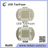 405nm 50W UV Light LED Diode
