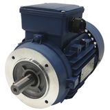 Three-Phase Asynchronous Electric Motor (Ms5614-60W-B14)