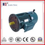 Yej-112m-2 Electro Magnetic Brake Induction Motor Electric Motor
