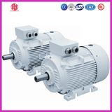 Ie2 High Efficiency Three Phase Asynchronous AC Motor