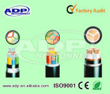 XLPE Insulated /Armoured /PVC Sheathed Power Cable 0.6/1kv Cable