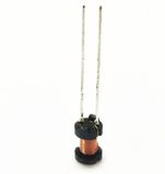 Radial Ferrite Core Epoxy Pin Leaded Inductors with RoHS