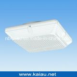 Motion Sensor LED Light (KA-HF-D107P)