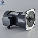 200W Vertical Geared Motor Small with Gear Reducer_D