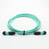 MTP/MPO Om3 12cores Fiber Optic Patch-Cord