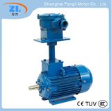 Ybf2 Series Flameproof Three Phase Asynchronous Electric Motor for Fan