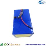 LiFePO4 Battery Pack 60V 60ah for E-Motor
