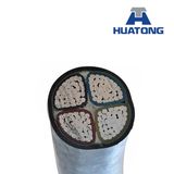 0.6/1kv 2 Core 3 Core 4 Core Cu/XLPE/Swa/PVC DC Power Cable