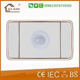 Bottom Price Hot Sale Electronic Body Sensor Switch