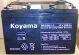 12V100ah-Valve Regulated Lead Acid Battery (NP100-12)