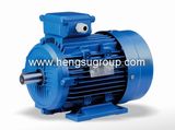 Ms Series Aluminium Body Three Phase Induction Electric Motor