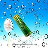 Plus Power AA Alkaline Batteries