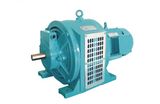 Speed adjustable Induction motor 3000rpm with high voltage