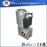 Excellent Craftsmanship High Quality and Inexpensive Energy-Saving Worm Motor