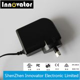 Efficiency 24W 12V 2A Plug in Type Power Adapter for Audio, Certified by Rcm