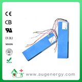 12ah 48V Lithium Li-ion Battery for Ebike