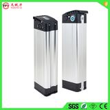 48V 13ah Lithium Polymer Battery