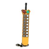 Wireless Remote Controller for Crane (F21-16S)