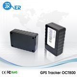 Global GPS Tracker Google Map Online Tracking Oct800