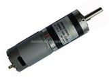 DC Planetary Gear Motor (36)