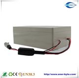 Lithium Battery 24V 10ah for E-Bike/ Low Speed Vehicle /Lsvs/Scooter