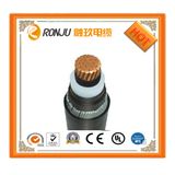 Custom Cable Assembly, Flat Heating Cable 24V 2core Copper Power DC 5521 Cable