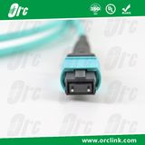 8f/12f/24f MPO/MTP Patchcord Jumper Optical Fiber Connector Om3 Ofnp 5 Meters