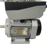 0.55kw/60Hz Integrated Electric Servo Motor Ce/UL Approved