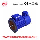 Electrical Aluminum Housing Integrated Frequency Inverter Motor (801-4-0.55KW)