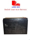 VRLA Chargeable Battery for Emergency Lighting System