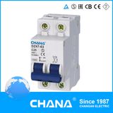 New Type Circuit Breaker for Over Current Protection Dz47-63 2p